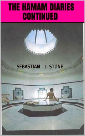 [Sebastian J Stone 02] • The Hamam Diaries Continued